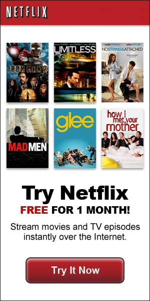 Netflix3 Banner Ad Design Example Smiley Cat