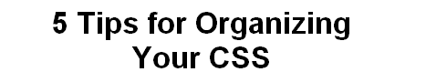Erratic Wisdom headline typography example